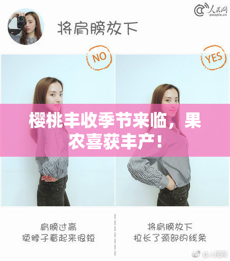 樱桃丰收季节来临，果农喜获丰产！
