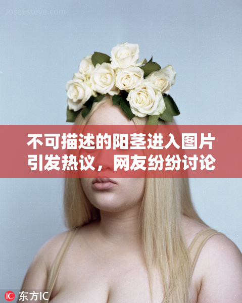 不可描述的阳茎进入图片引发热议，网友纷纷讨论