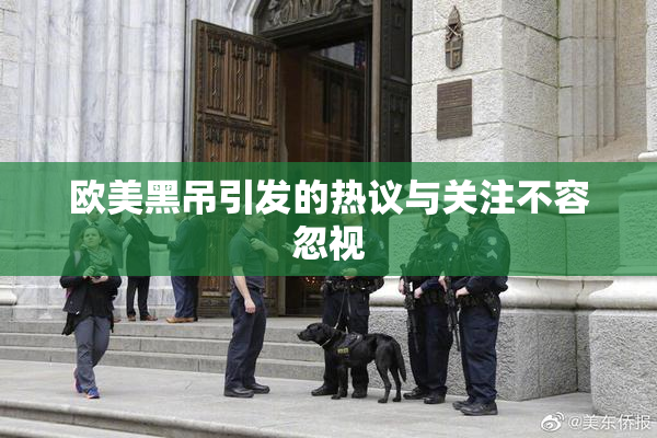 欧美黑吊引发的热议与关注不容忽视