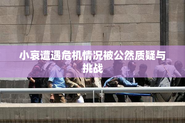 小哀遭遇危机情况被公然质疑与挑战