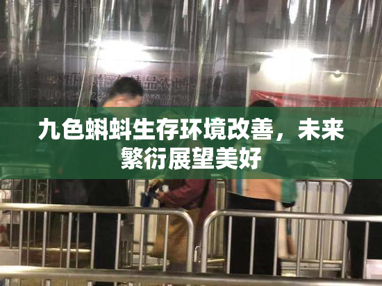 九色蝌蚪生存环境改善，未来繁衍展望美好