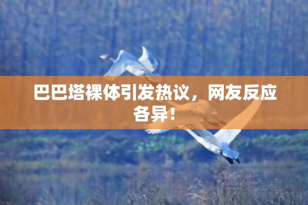 巴巴塔裸体引发热议，网友反应各异！