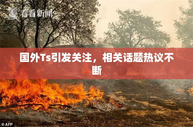 国外Ts引发关注，相关话题热议不断