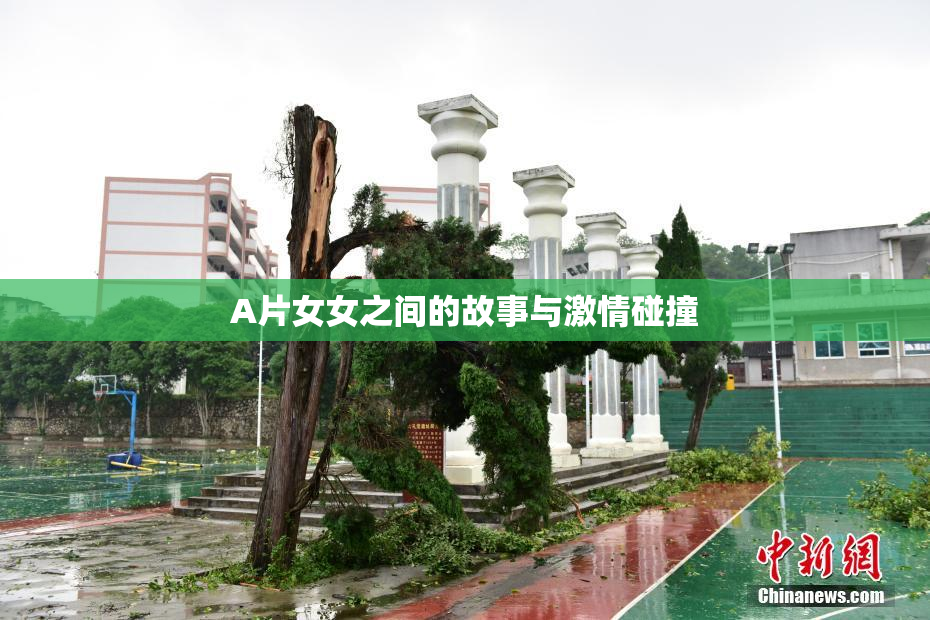 A片女女之间的故事与激情碰撞