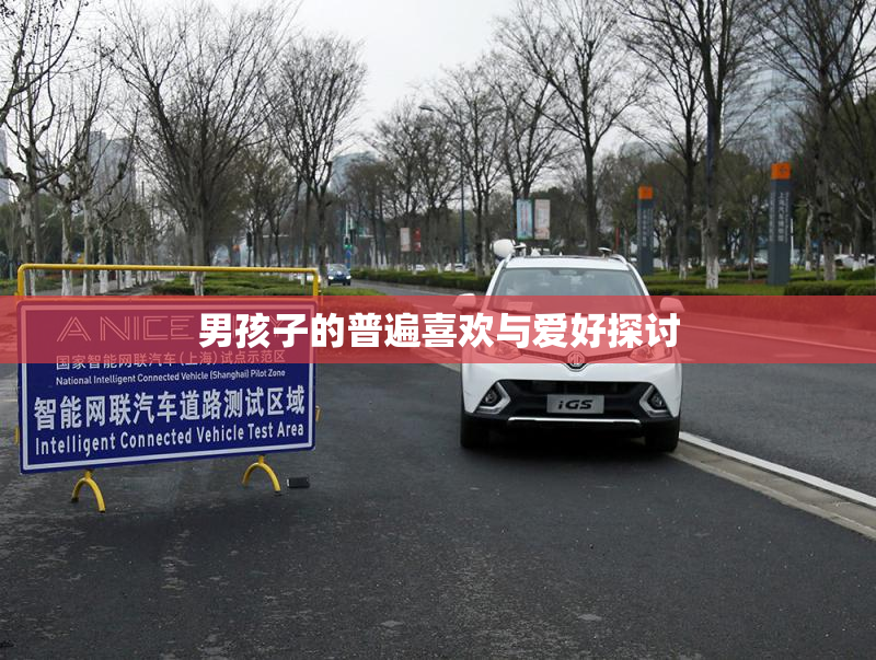 男孩子的普遍喜欢与爱好探讨