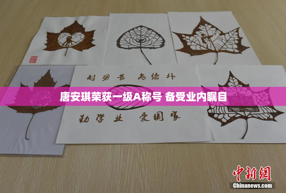 唐安琪荣获一级A称号 备受业内瞩目