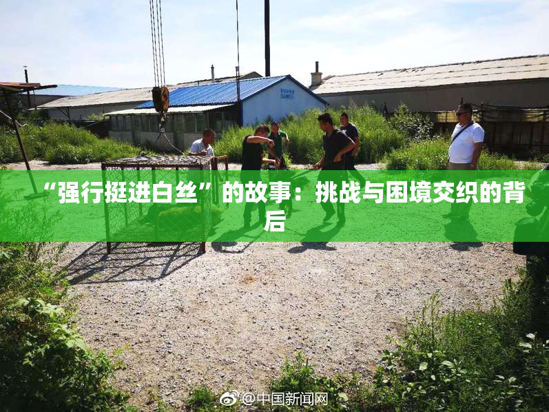 “强行挺进白丝”的故事：挑战与困境交织的背后