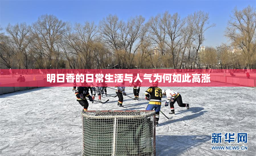 明日香的日常生活与人气为何如此高涨