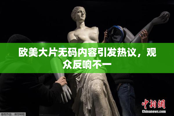 欧美大片无码内容引发热议，观众反响不一