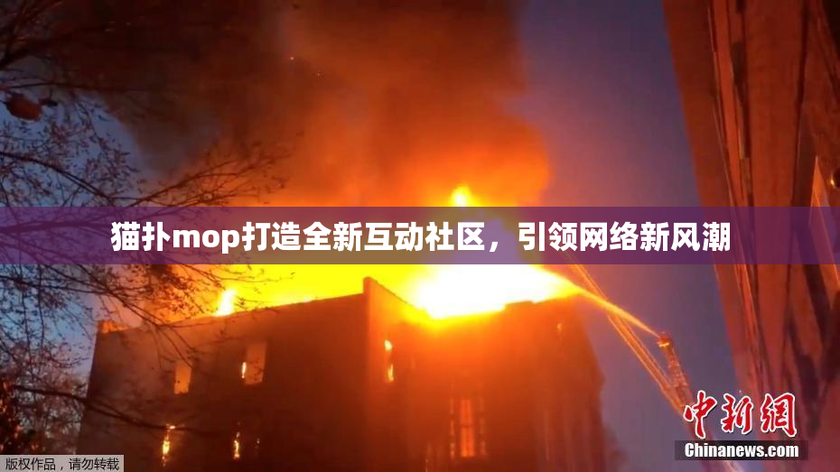 猫扑mop打造全新互动社区，引领网络新风潮