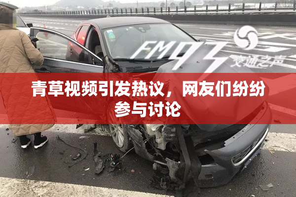 青草视频引发热议，网友们纷纷参与讨论