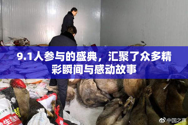 9.1人参与的盛典，汇聚了众多精彩瞬间与感动故事