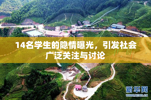 14名学生的隐情曝光，引发社会广泛关注与讨论