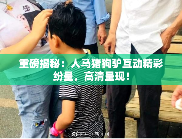 重磅揭秘：人马猪狗驴互动精彩纷呈，高清呈现！