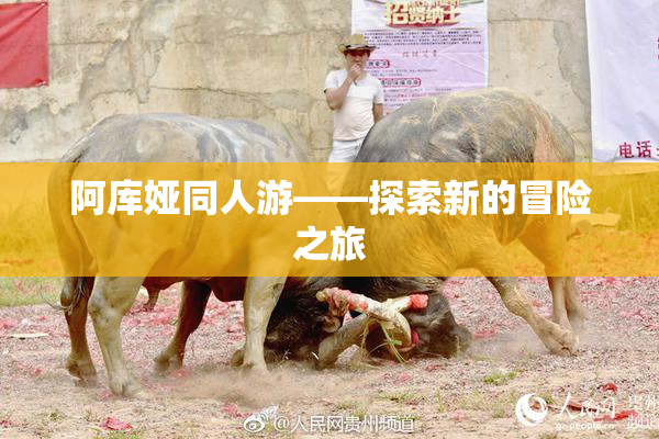 阿库娅同人游——探索新的冒险之旅