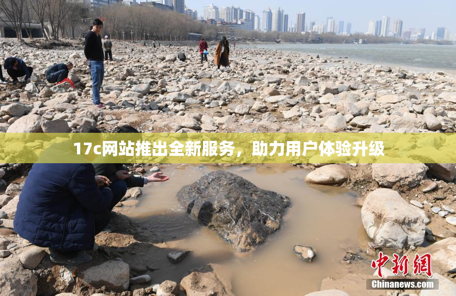 17c网站推出全新服务，助力用户体验升级