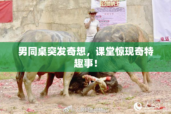 男同桌突发奇想，课堂惊现奇特趣事！
