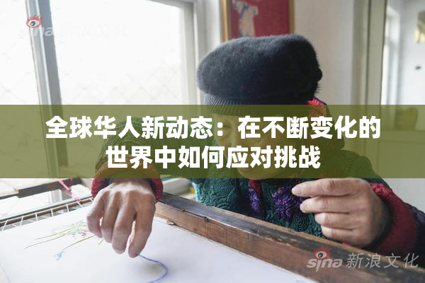 全球华人新动态：在不断变化的世界中如何应对挑战