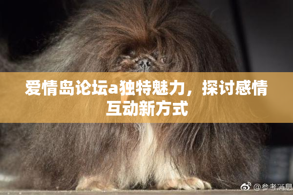 爱情岛论坛a独特魅力，探讨感情互动新方式