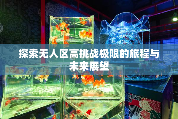 探索无人区高挑战极限的旅程与未来展望