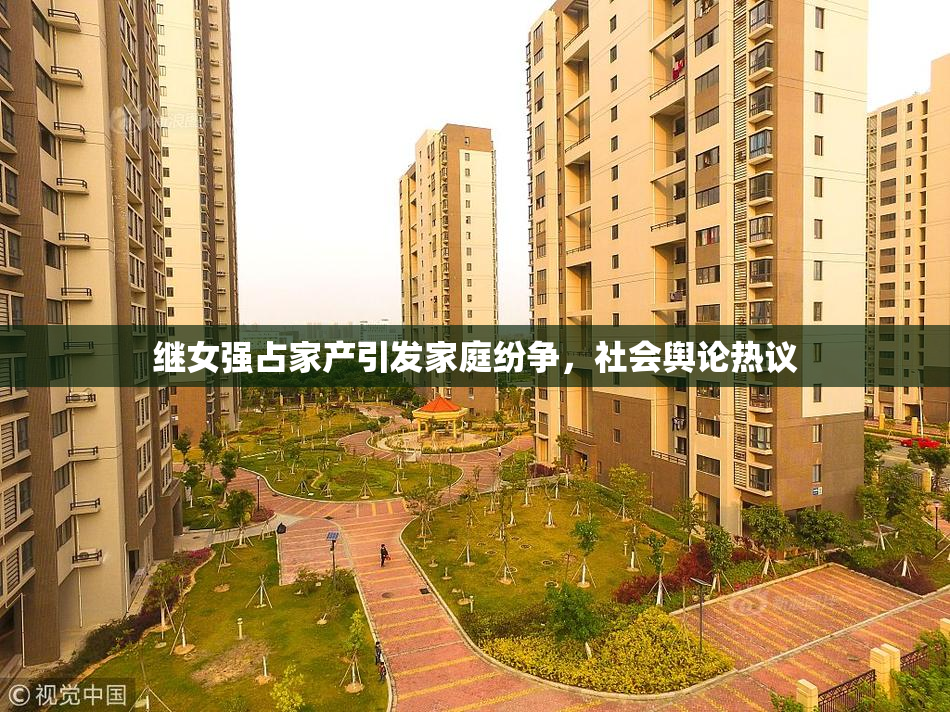 继女强占家产引发家庭纷争，社会舆论热议
