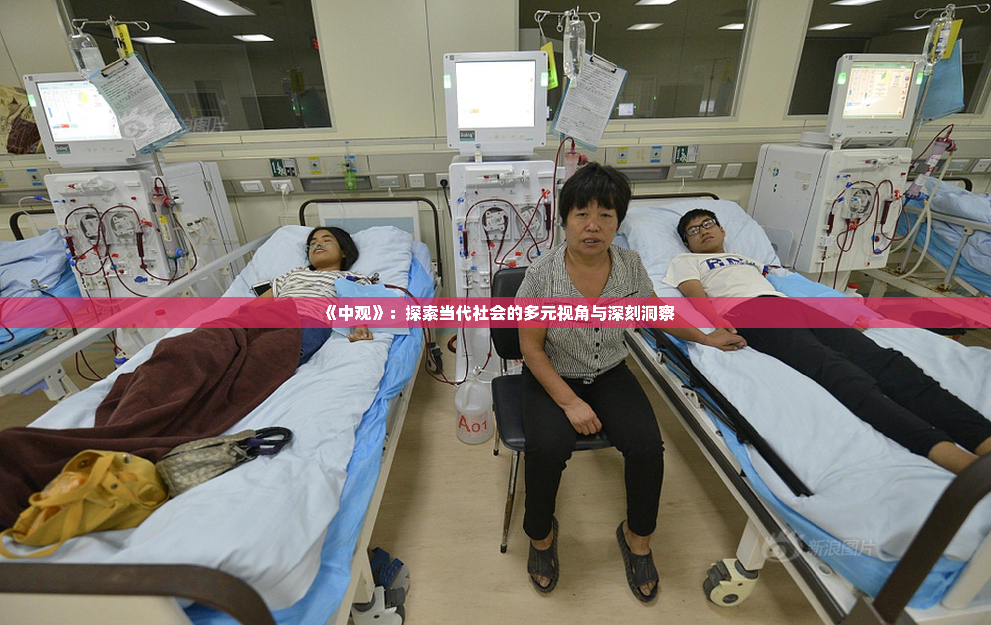 《中观》：探索当代社会的多元视角与深刻洞察