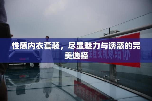 性感内衣套装，尽显魅力与诱惑的完美选择