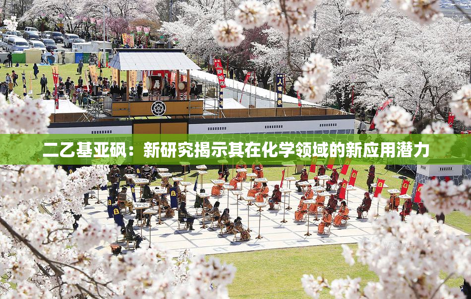 二乙基亚砜：新研究揭示其在化学领域的新应用潜力
