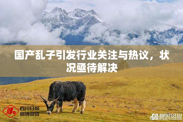 国产乱子引发行业关注与热议，状况亟待解决