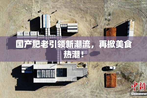 国产肥老引领新潮流，再掀美食热潮！