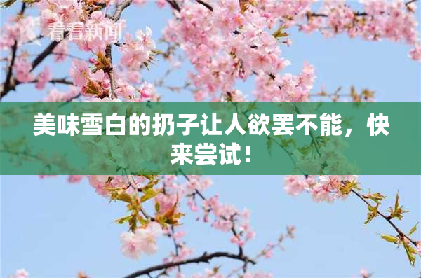 美味雪白的扔子让人欲罢不能，快来尝试！