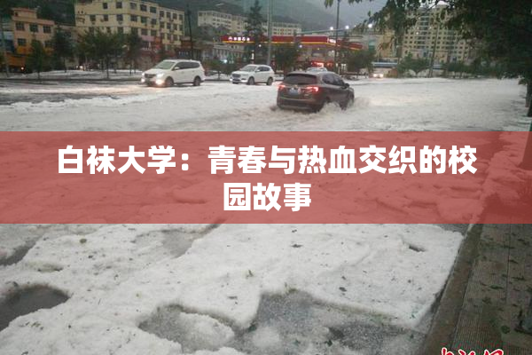 白袜大学：青春与热血交织的校园故事