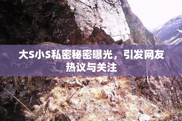 大S小S私密秘密曝光，引发网友热议与关注