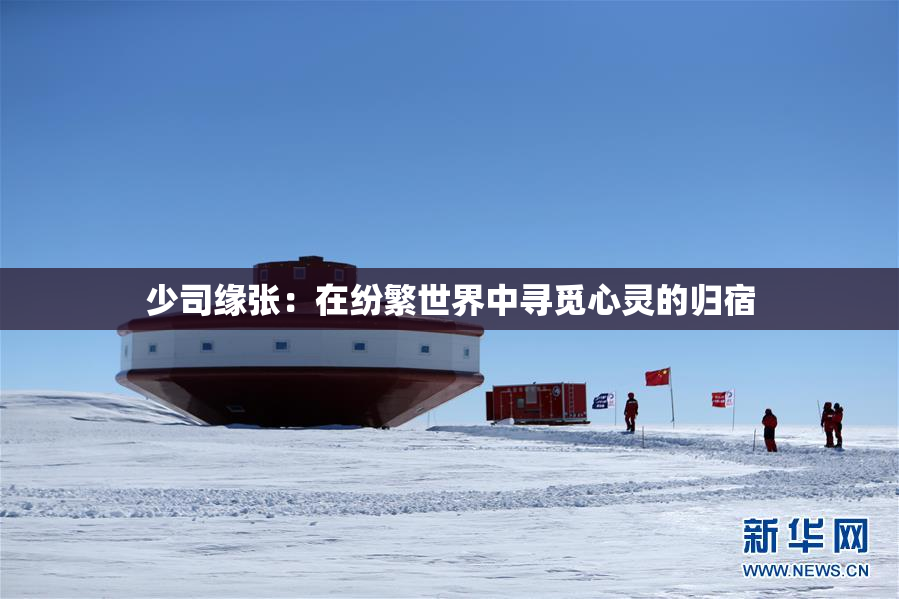 少司缘张：在纷繁世界中寻觅心灵的归宿