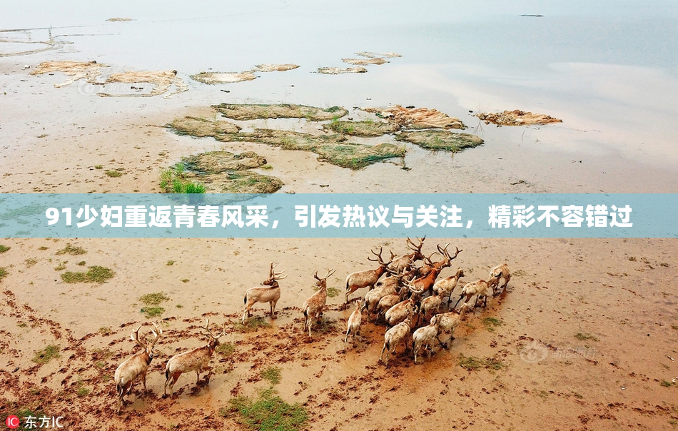91少妇重返青春风采，引发热议与关注，精彩不容错过