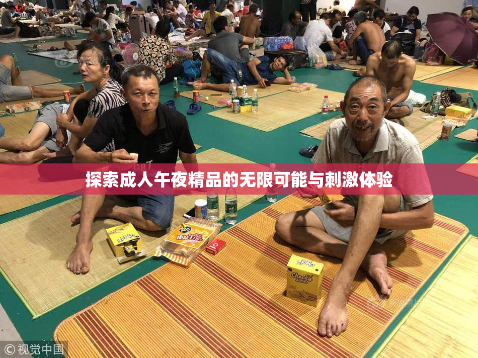 探索成人午夜精品的无限可能与刺激体验