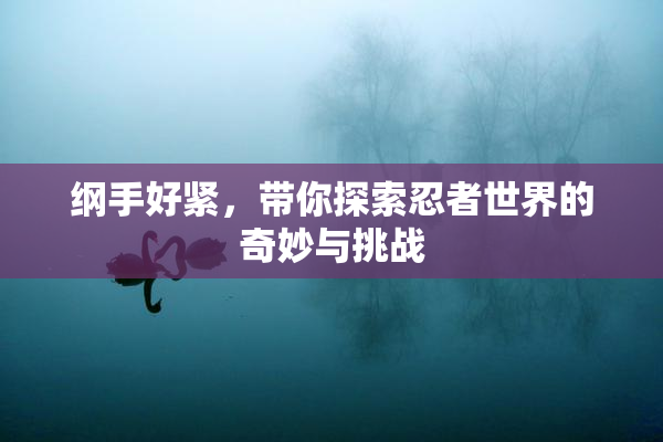 纲手好紧，带你探索忍者世界的奇妙与挑战