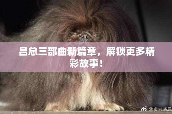 吕总三部曲新篇章，解锁更多精彩故事！