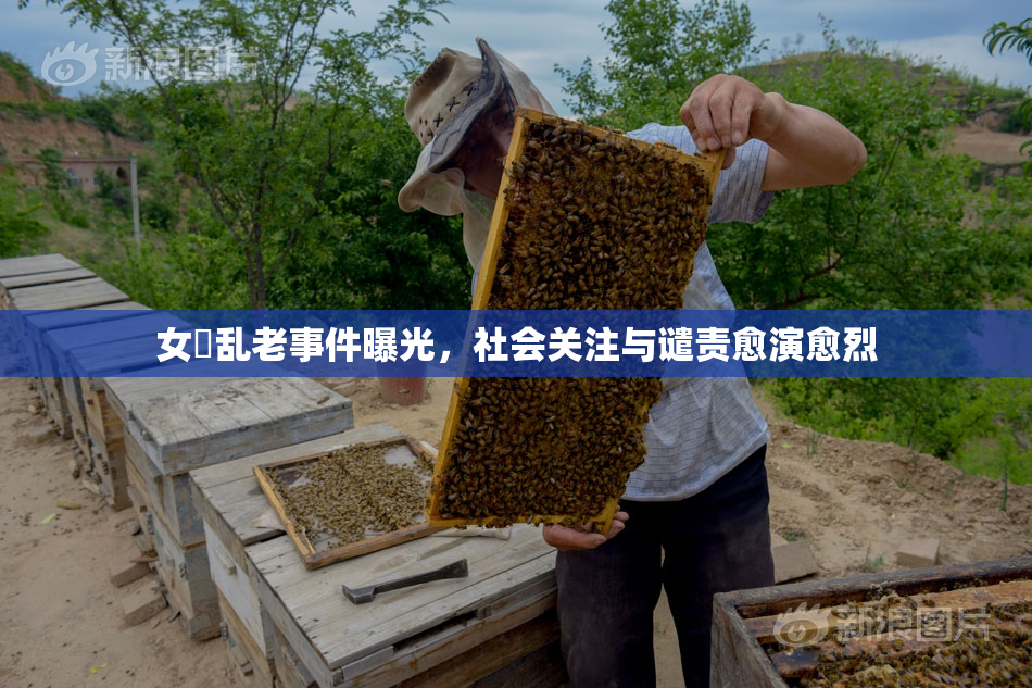 女婬乱老事件曝光，社会关注与谴责愈演愈烈