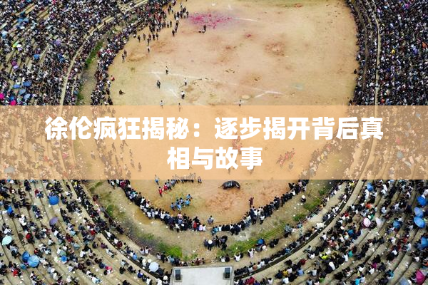 徐伦疯狂揭秘：逐步揭开背后真相与故事