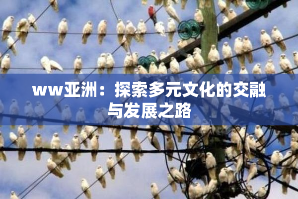 ww亚洲：探索多元文化的交融与发展之路
