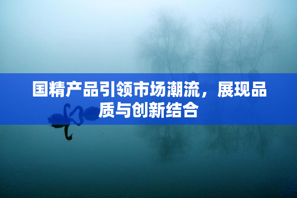 国精产品引领市场潮流，展现品质与创新结合
