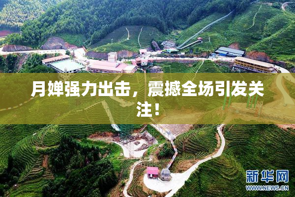 月婵强力出击，震撼全场引发关注！