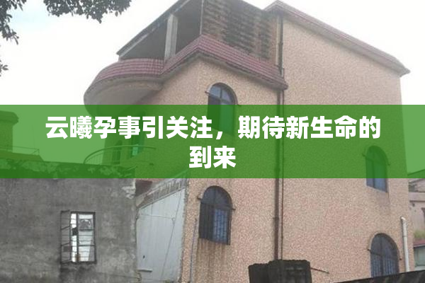 云曦孕事引关注，期待新生命的到来