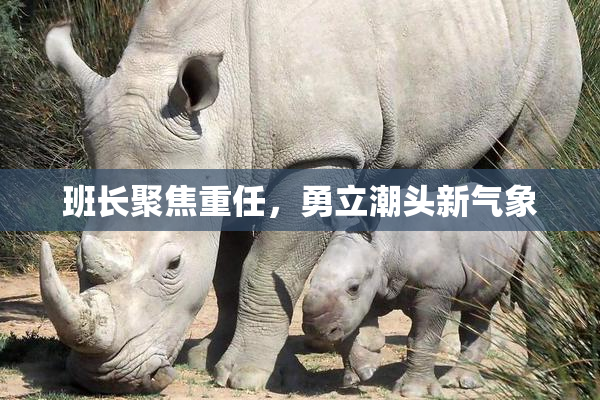 班长聚焦重任，勇立潮头新气象