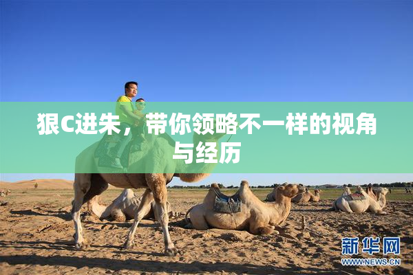 狠C进朱，带你领略不一样的视角与经历