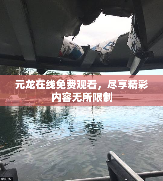 元龙在线免费观看，尽享精彩内容无所限制