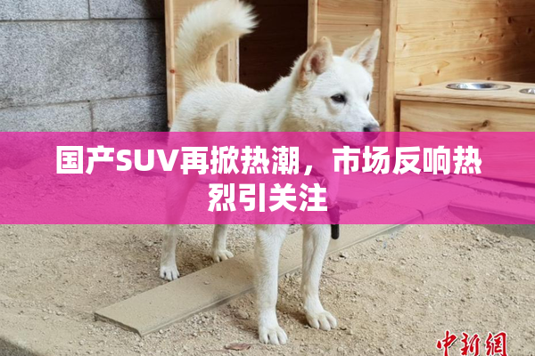 国产SUV再掀热潮，市场反响热烈引关注
