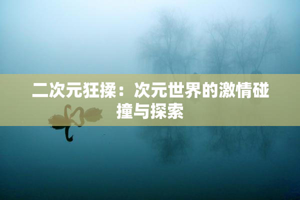 二次元狂揉：次元世界的激情碰撞与探索
