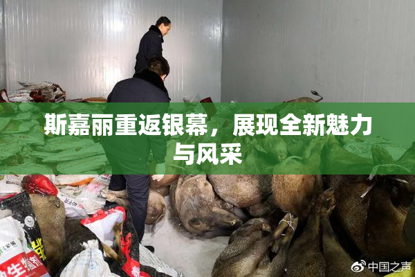 斯嘉丽重返银幕，展现全新魅力与风采